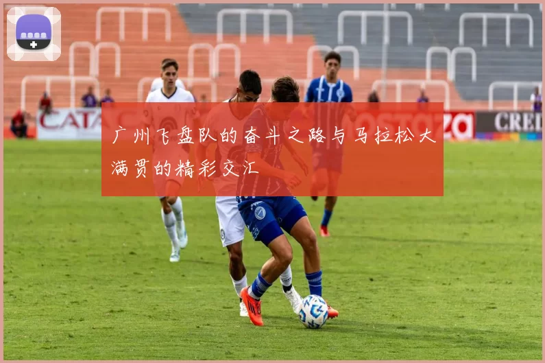 广州飞盘队的奋斗之路与马拉松大满贯的精彩交汇