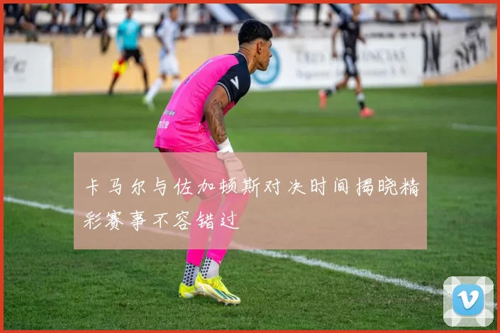 卡马尔与佐加顿斯对决时间揭晓精彩赛事不容错过