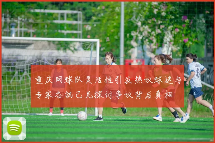 重庆网球队灵活性引发热议球迷与专家各执己见探讨争议背后真相