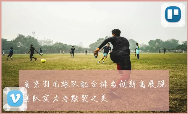 南京羽毛球队配合排名创新高展现团队实力与默契之美