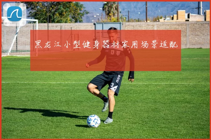 黑龙江小型健身器材家用场景适配