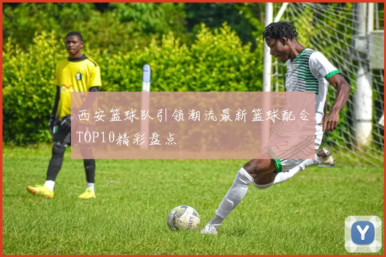 西安篮球队引领潮流最新篮球配合TOP10精彩盘点
