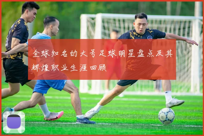 全球知名的大号足球明星盘点及其辉煌职业生涯回顾