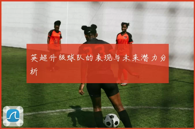 英超升级球队的表现与未来潜力分析