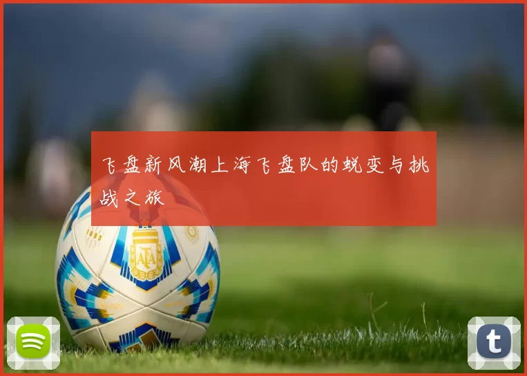 飞盘新风潮上海飞盘队的蜕变与挑战之旅