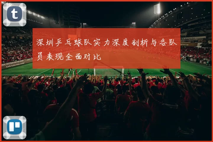 深圳乒乓球队实力深度剖析与各队员表现全面对比