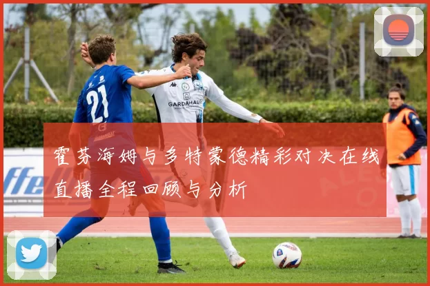 霍芬海姆与多特蒙德精彩对决在线直播全程回顾与分析