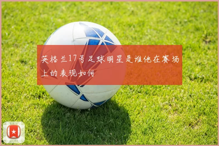 英格兰17号足球明星是谁他在赛场上的表现如何