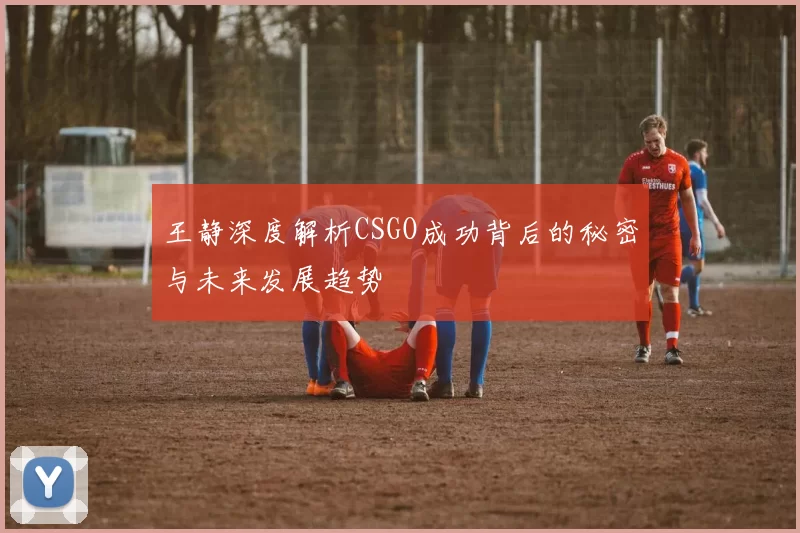 王静深度解析CSGO成功背后的秘密与未来发展趋势