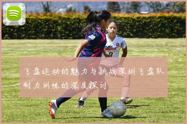 飞盘运动的魅力与挑战深圳飞盘队耐力训练的深度探讨