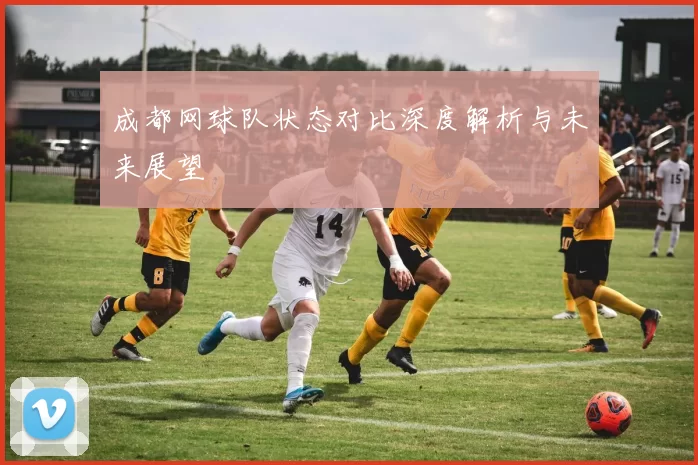 成都网球队状态对比深度解析与未来展望